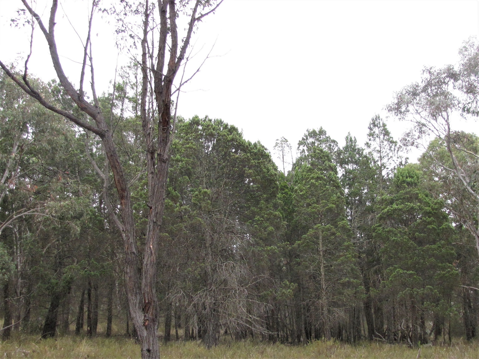 environmental 3
